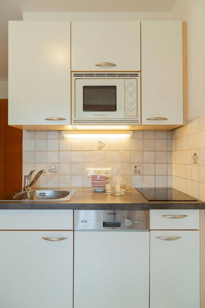 Ganze Ferienwohnung, Fw III-Apartment/1 Schlafraum/Dusche, Wc in Galtür, Verwall