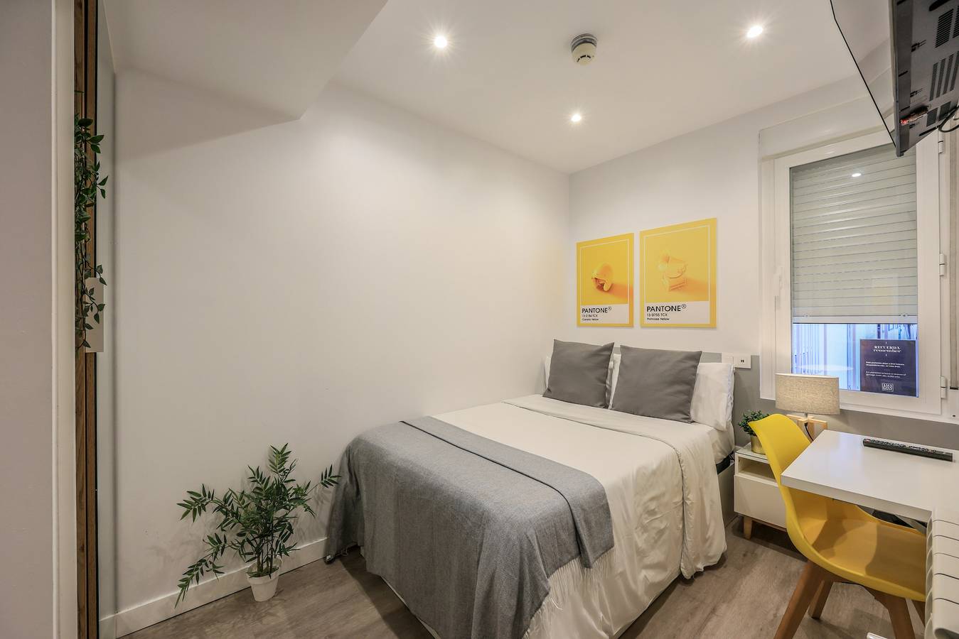 Apartamento vacacional entero, Espectacular habitación doble con gimnasio B121  in Chamberí (Madrid), Madrid