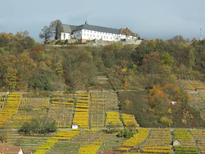 Ferienhaus für 3 Personen, mit Balkon/Terrasse in Fränkisches Weinland - 4