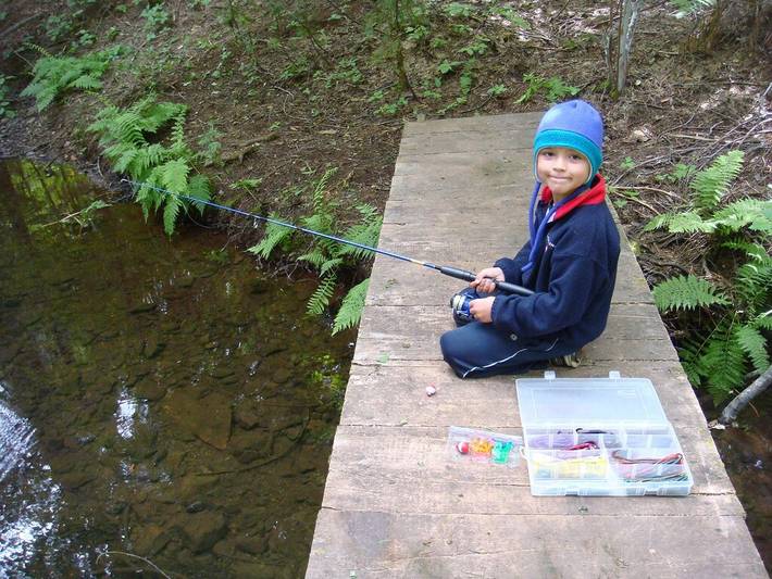 Blockhütte für 12 Personen, mit Garten, mit Haustier in Arnold