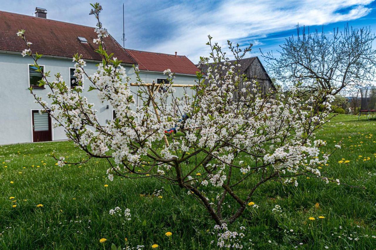 Ganze Wohnung, Familienapartment Vogtland in Mühlental, Chemnitz und Umgebung