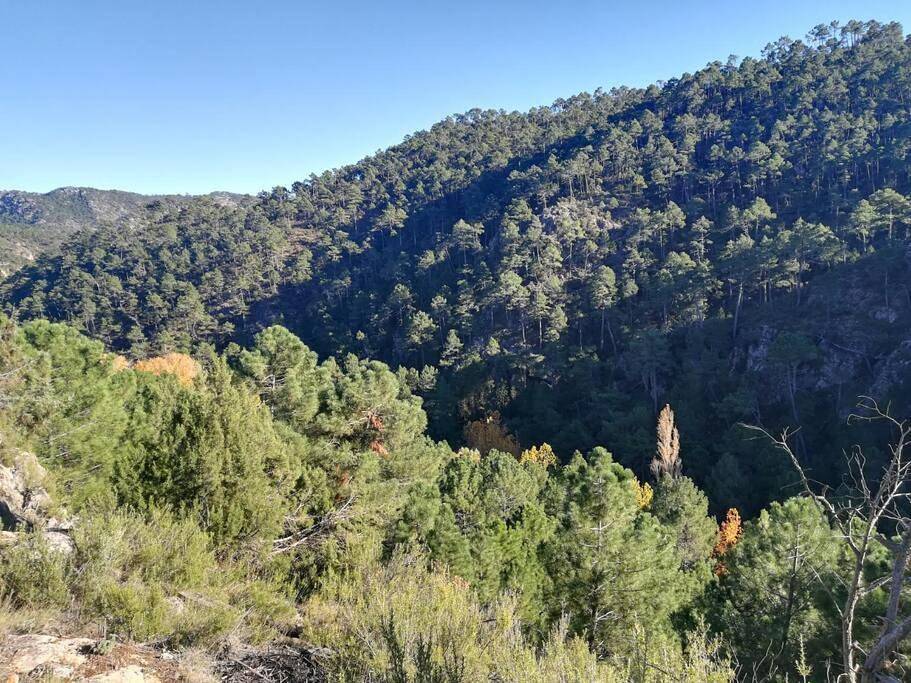 El Quejigo in Molinicos, Sierra de Alcaraz