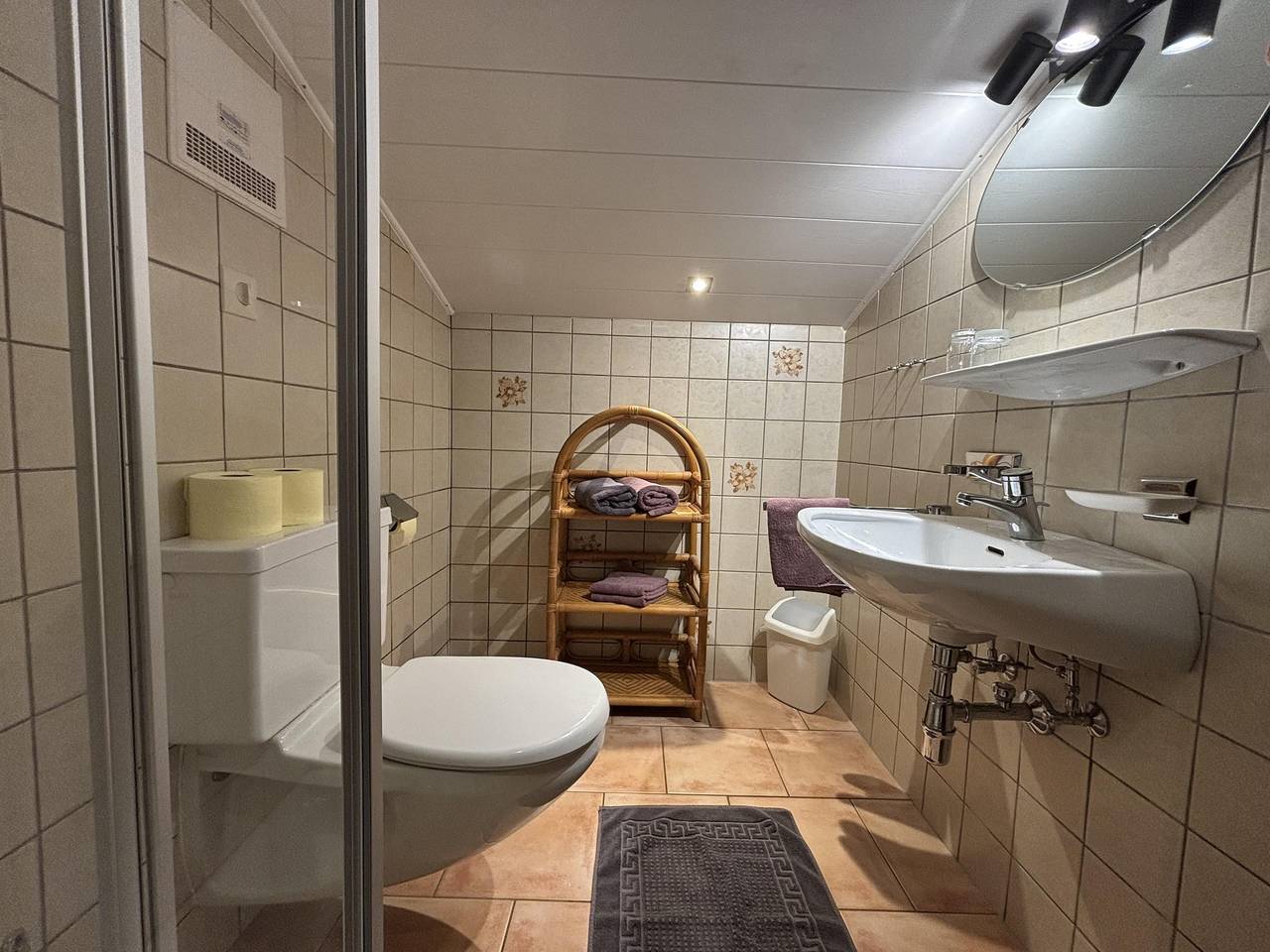 Ganze Ferienwohnung, App/2 Schlafräume/Dusche, Wc "Hochkönig" in Dienten am Hochkönig, Pinzgau