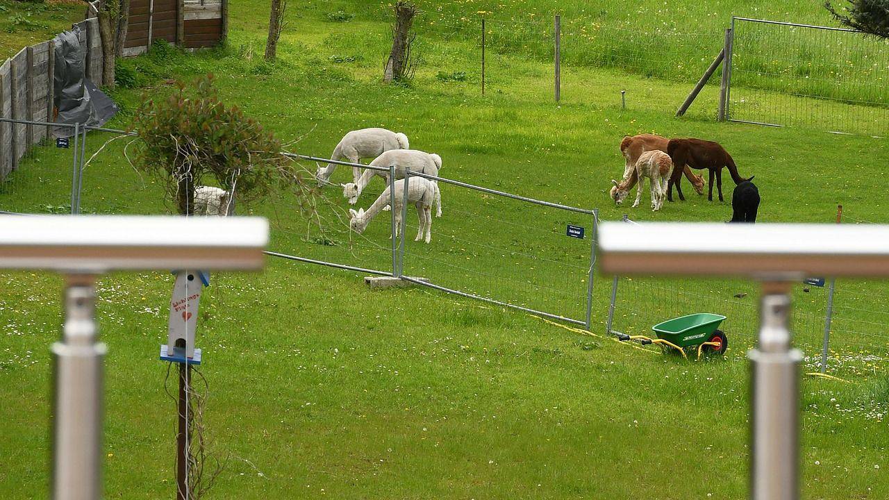Ganze Ferienwohnung, Ferienwohnung für 4 Personen (81 m²) in Taura in Taura, Chemnitz und Umgebung