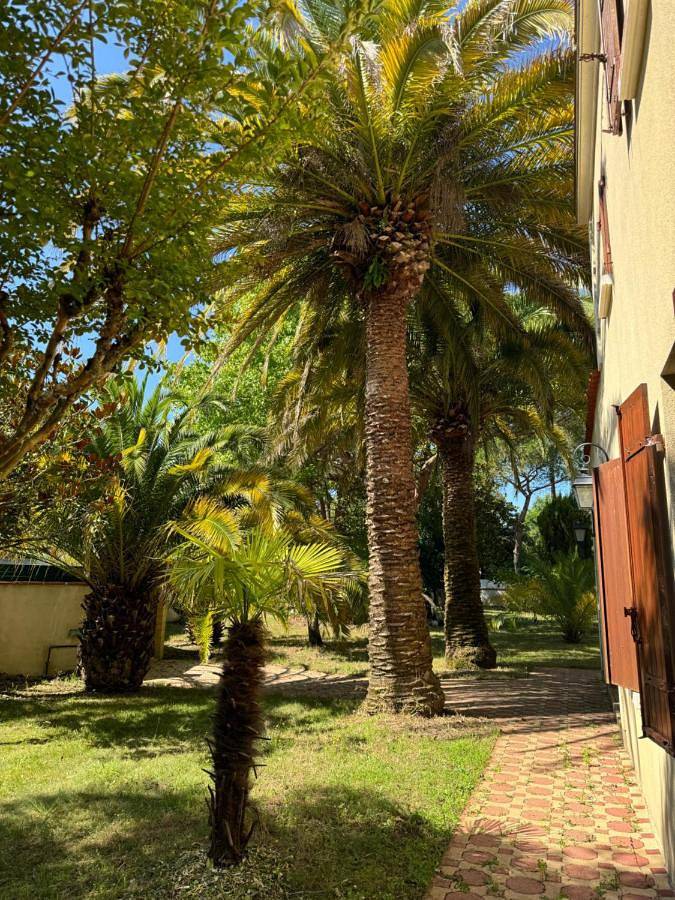 Villa pour 10 personnes, avec vue ainsi que jardin et piscine dans Ronce-les-Bains - 4