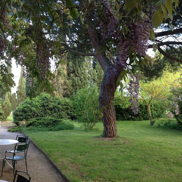 Gîte pour 5 personnes, avec piscine ainsi que jardin et terrasse à Montréal (Lanquedoc-Roussillon) - 2