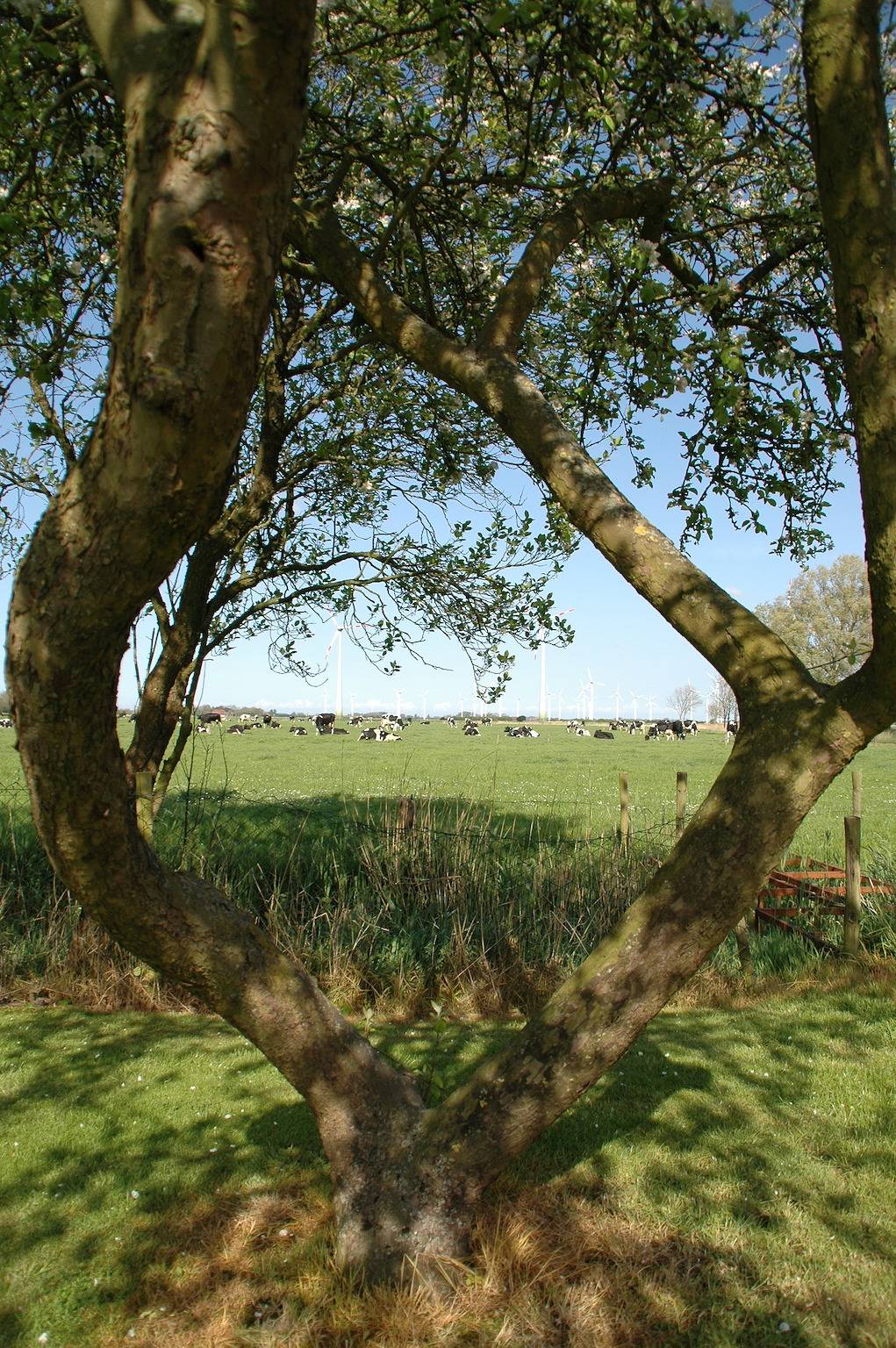 Ganze Ferienwohnung, Ferienlandhaus Harms-Janssen - "Zum Hof" in Wangerland, Nordseeküste