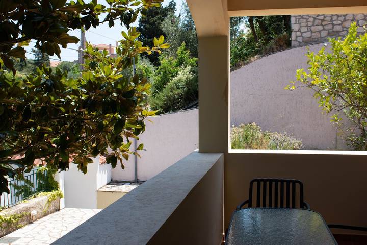 Apartment for 4 people, with ocean view and garden as well as terrace, with pets in Kefalonia