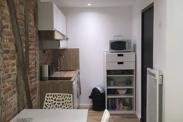 Ganze Wohnung, Charmant Studio Refait à Neuf, au Pied du Métro et du Tramway in Toulouse, Umgebung Toulouse