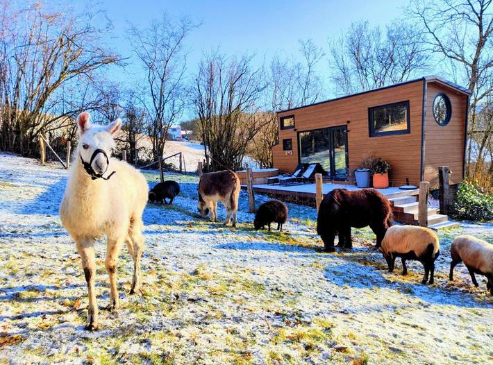 Location de vacances pour 3 personnes, avec jacuzzi ainsi que terrasse et jardin dans Redu
