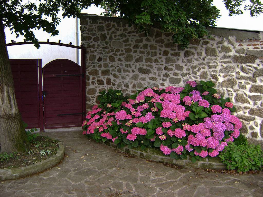 La Vieille Maison proche du Puy du Fou in Montfaucon-Montigné, Région de Cholet