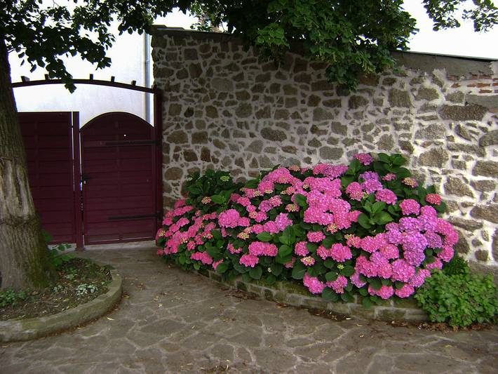 Gîte pour 4 personnes, avec terrasse et jardin dans Maine-et-Loire - 2
