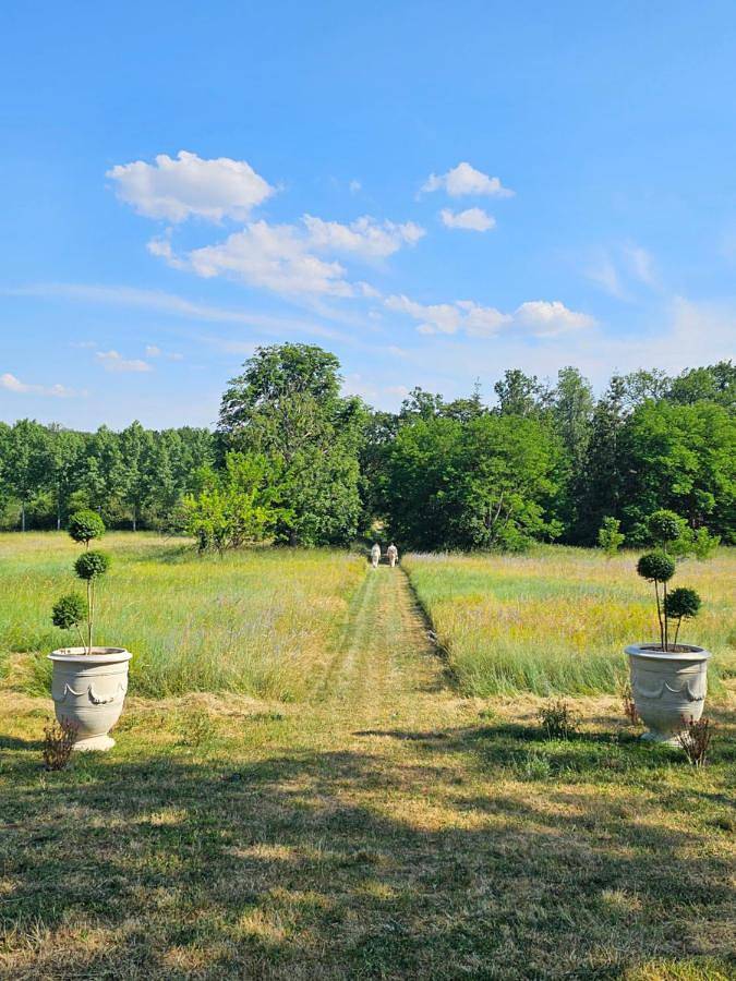 Location de vacances pour 5 personnes, avec vue ainsi que piscine et jardin, animaux acceptés à Les Montils - 4