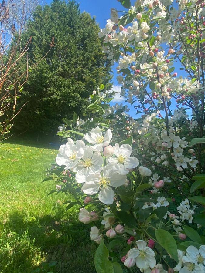 Location de vacances pour 2 personnes, avec piscine et terrasse à Champagnac-la-Rivière - 2