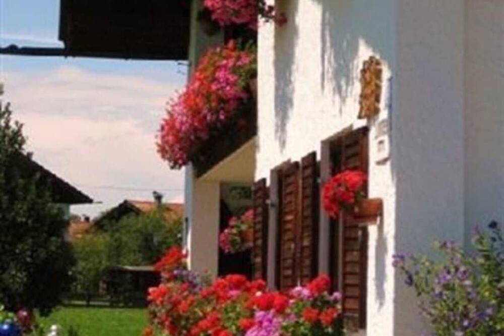 Ganze Wohnung, Haus Huber - Ferienwohnung 50m² in Gmund, Bayerische Alpen
