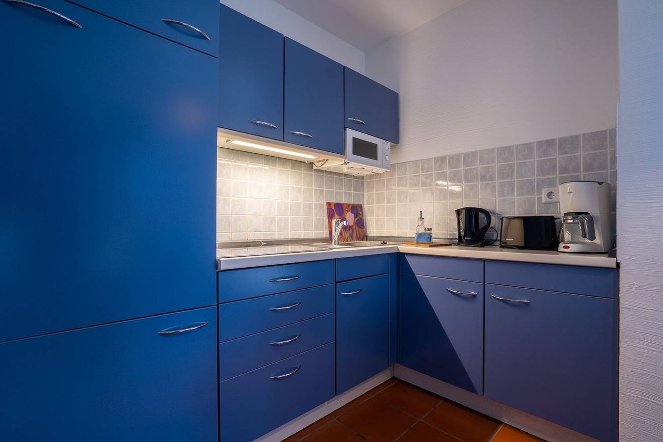 Appartement entier, Budget 1-Raum Appartement mit Terrasse in Kreptitz, Dranske