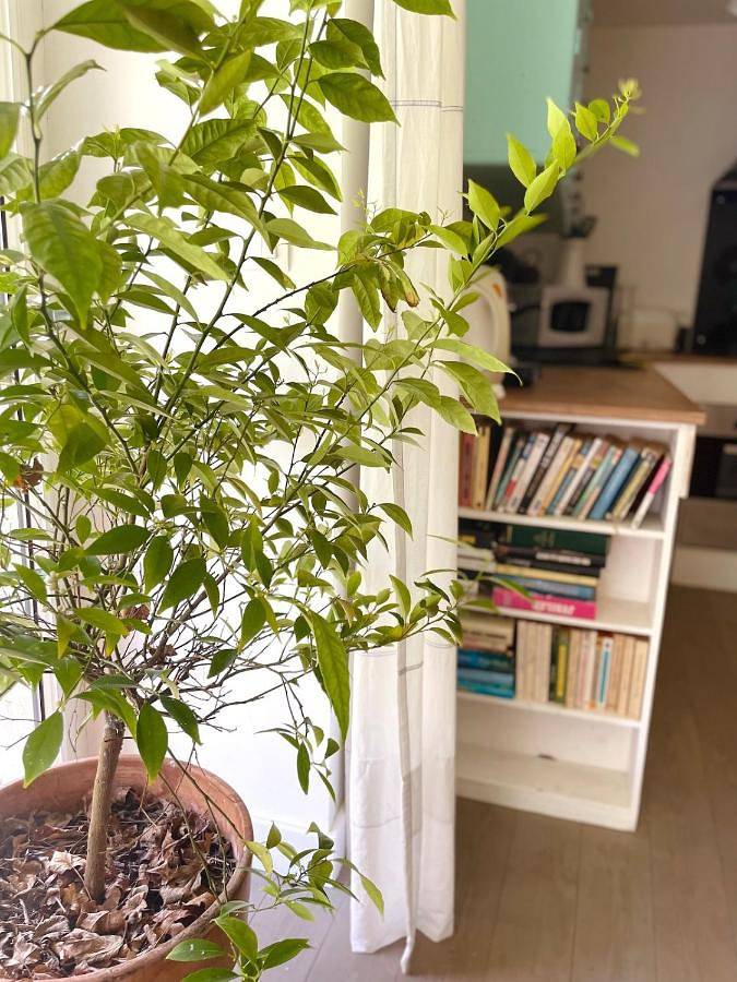 Location de vacances pour 5 personnes, avec jardin à Quins - 4