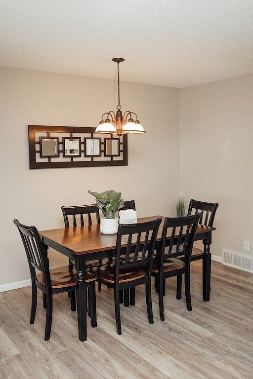 Fun Family Place with Extras and Space in Ames (IA), Story County