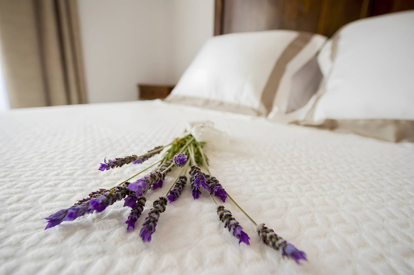 Bed and Breakfast 'Camagroc' with Mountain View, Wi-Fi and Air Conditioning in Castellví de la Marca, Barcelona Inland