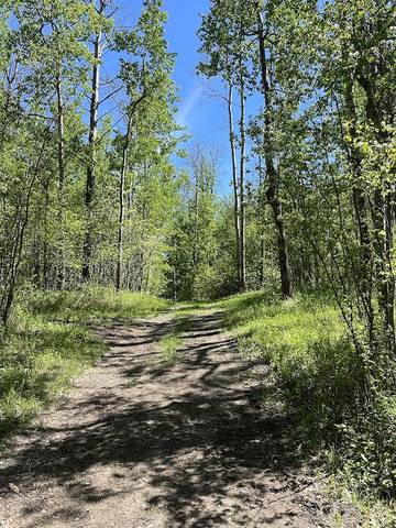 Cabin Rentals And Lodges for 4 Guests in Alberta, Canada, Picture 4