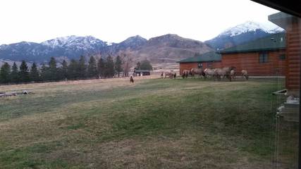 Log Cabin for 8 People in Custer Gallatin National Forest, Park County (MT), Photo 2