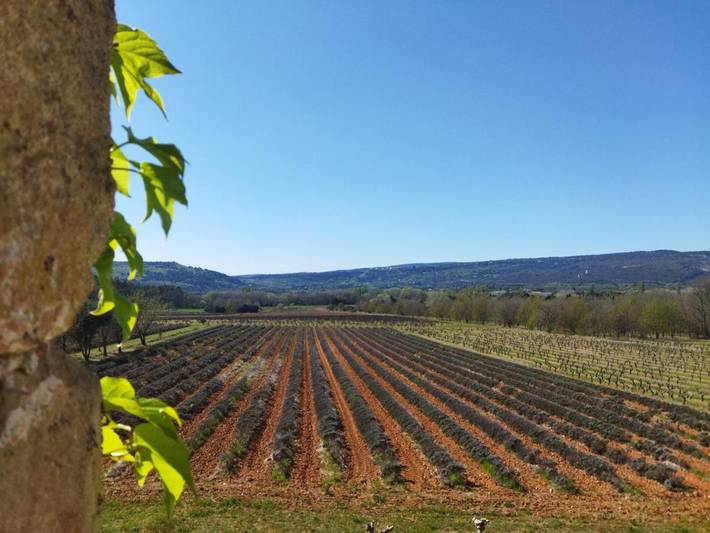 Maison de vacances pour 2 personnes, avec jardin ainsi que piscine et vue