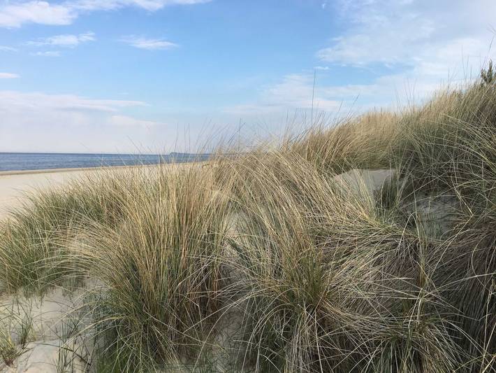Ferienhaus für 5 Personen, mit Garten in Karlshagen - 3