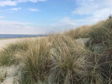 Ferienhaus für 5 Personen in Karlshagen, Usedom, Bild 2