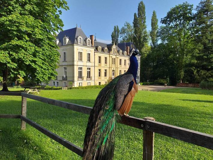 Hôtel pour 2 personnes, avec Terrasse ainsi que Jardin et Vue