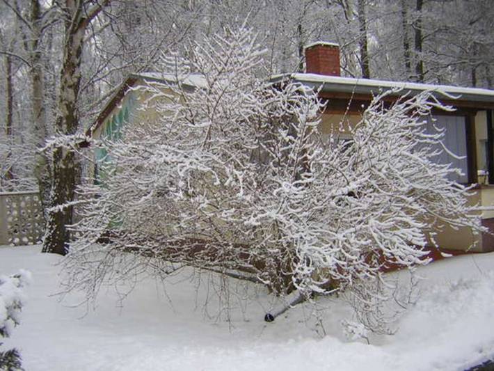 Ferienwohnung für 3 Personen, mit Garten und Terrasse in Baabe - 2