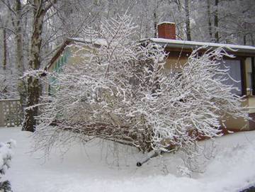Ferienwohnung für 3 Personen in Baabe, Rügen, Bild 1
