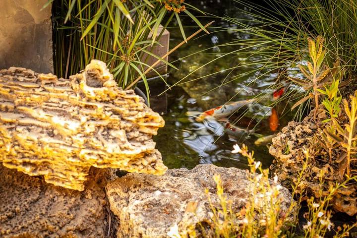 Gîte pour 3 personnes, avec jardin dans Cesaree - 3