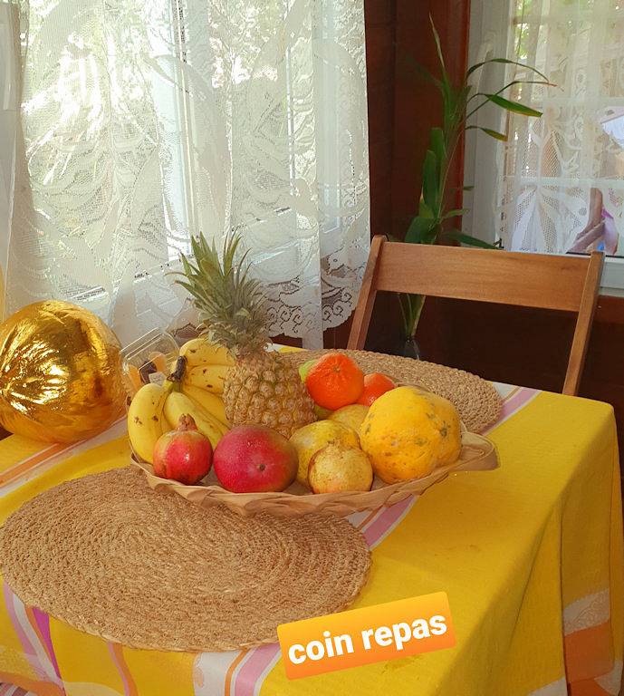 Gîte pour 4 personnes, avec terrasse et jardin en Guadeloupe - 4