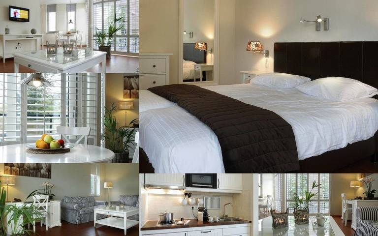 Hôtel pour 4 personnes, avec sauna ainsi que piscine et jardin dans Epen - 2