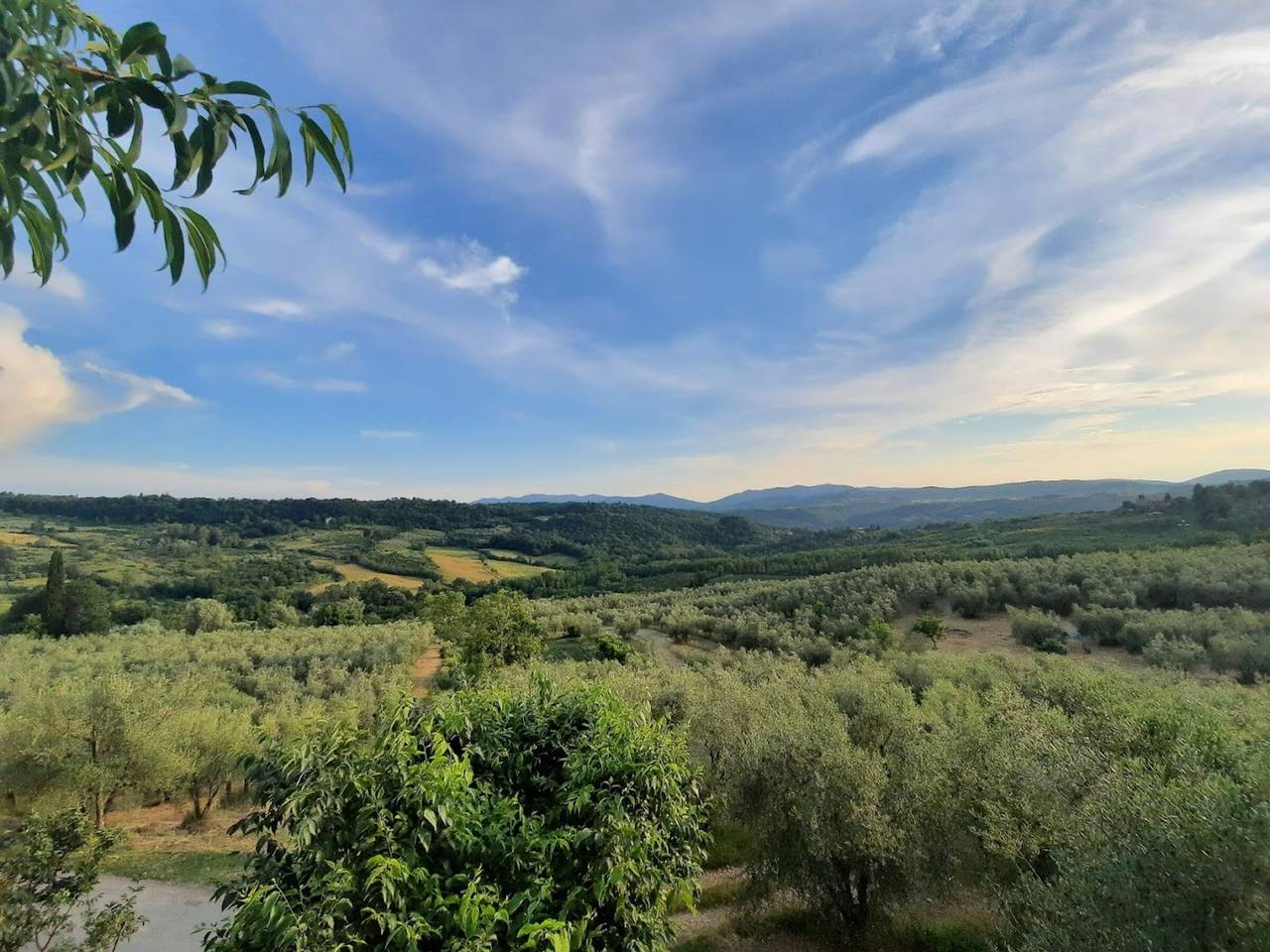 Ganze Wohnung, Apartment „Frantoio“ mit privater Terrasse, Garten und Wlan in Pelago, Valdarno