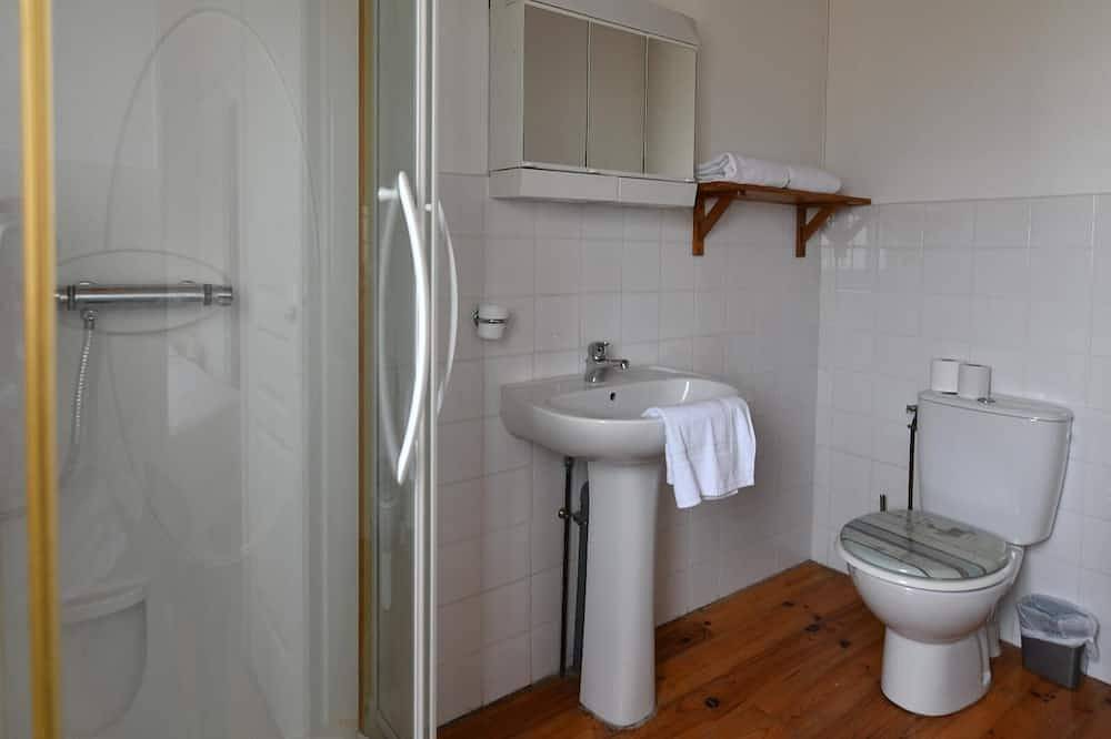 Entire apartment, House 13 sleeps 5 2 bathrooms in Ternant (Charente-Maritime), Saint-Jean-d'Angély region