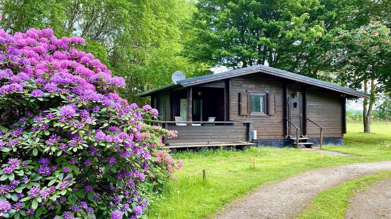 Ferienhaus für 4 Personen (45 m²) in Eschede in Eschede, Naturpark Südheide