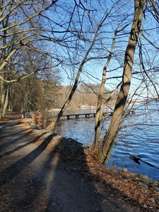 Tinyhaus Blücher und Monty in Stuer, Plauer See