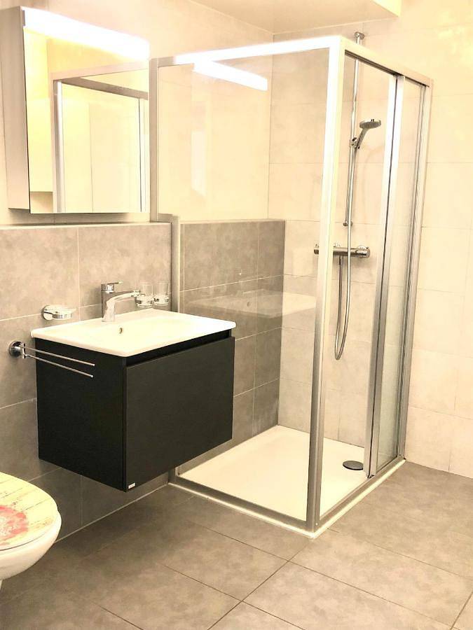 Gîte pour 5 personnes, avec terrasse, animaux acceptés à Blonay - 3