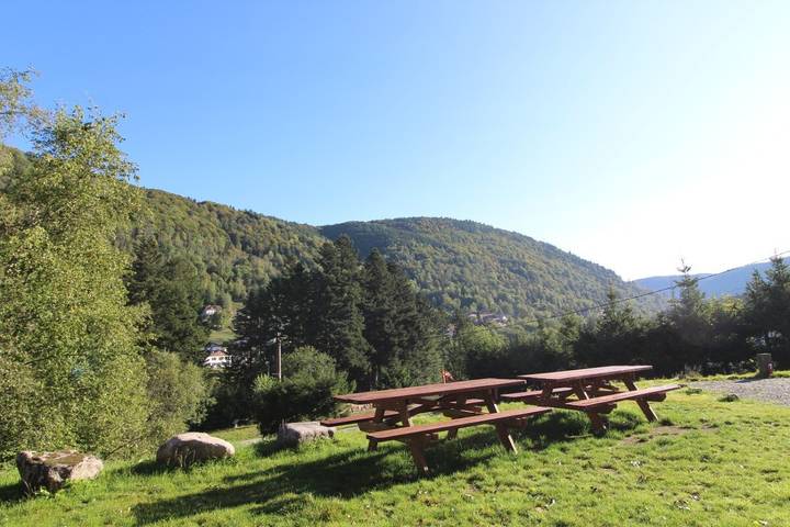Maison de vacances pour 12 personnes, avec jardin, animaux acceptés dans Grand Est - 3