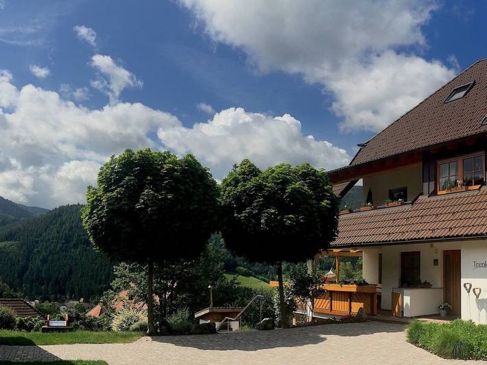 Ferienwohnung für 4 Personen, mit Terrasse und Garten in Simonswald