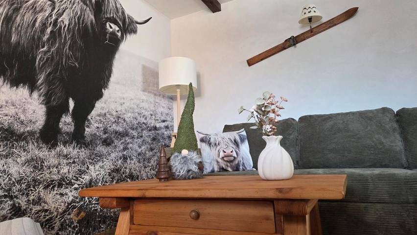 Gîte pour 4 personnes, avec terrasse et vue dans Champoussin - 3