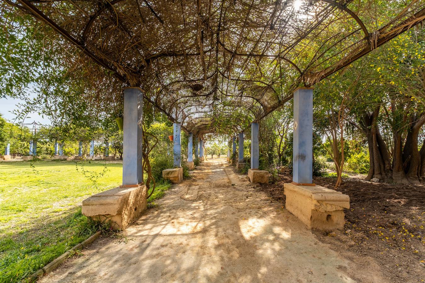 Landhaus 'La Carrasca - Limón' mit Gemeinschaftspool, Wi-Fi und Klimaanlage in Catral, Alicante Provinz