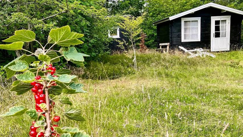 Ferienhaus für 6 Personen, mit Terrasse, mit Haustier in Amtoft - 4