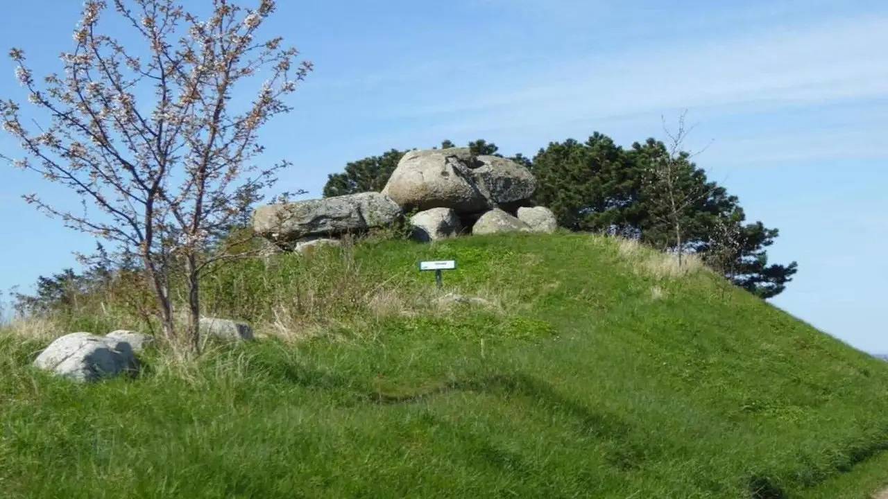 Ferienhaus für 4 Personen (99 m²) in Borre in Borre (Vordingborg), Schwedische Ostsee