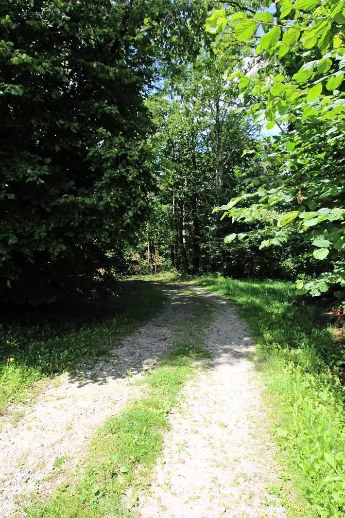 Gîte pour 6 personnes, avec jardin, animaux acceptés à Saint-Pardoux - 3