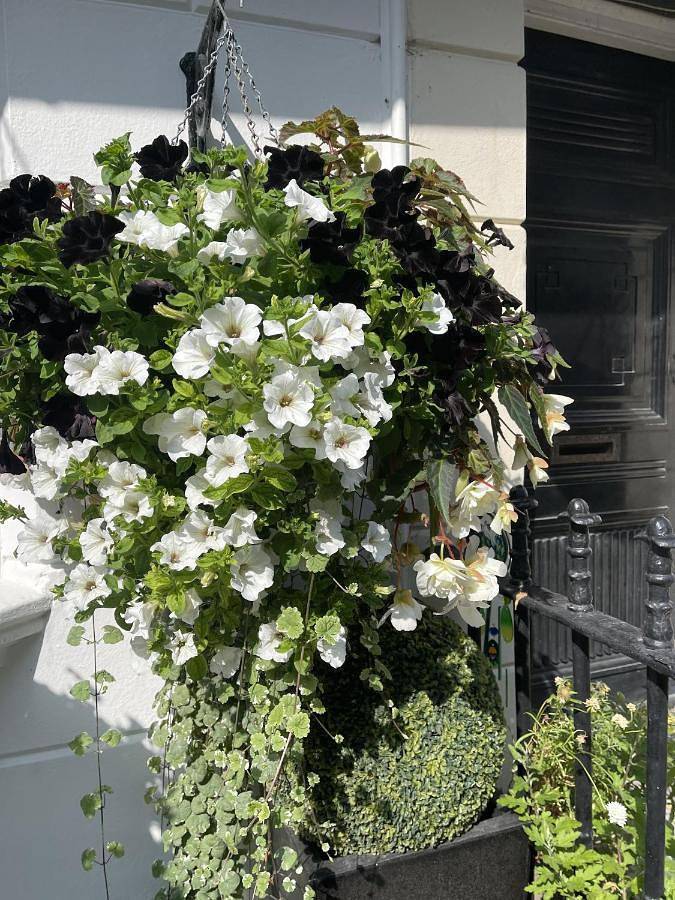 The Twenty One B&B in Brighton, Sussex