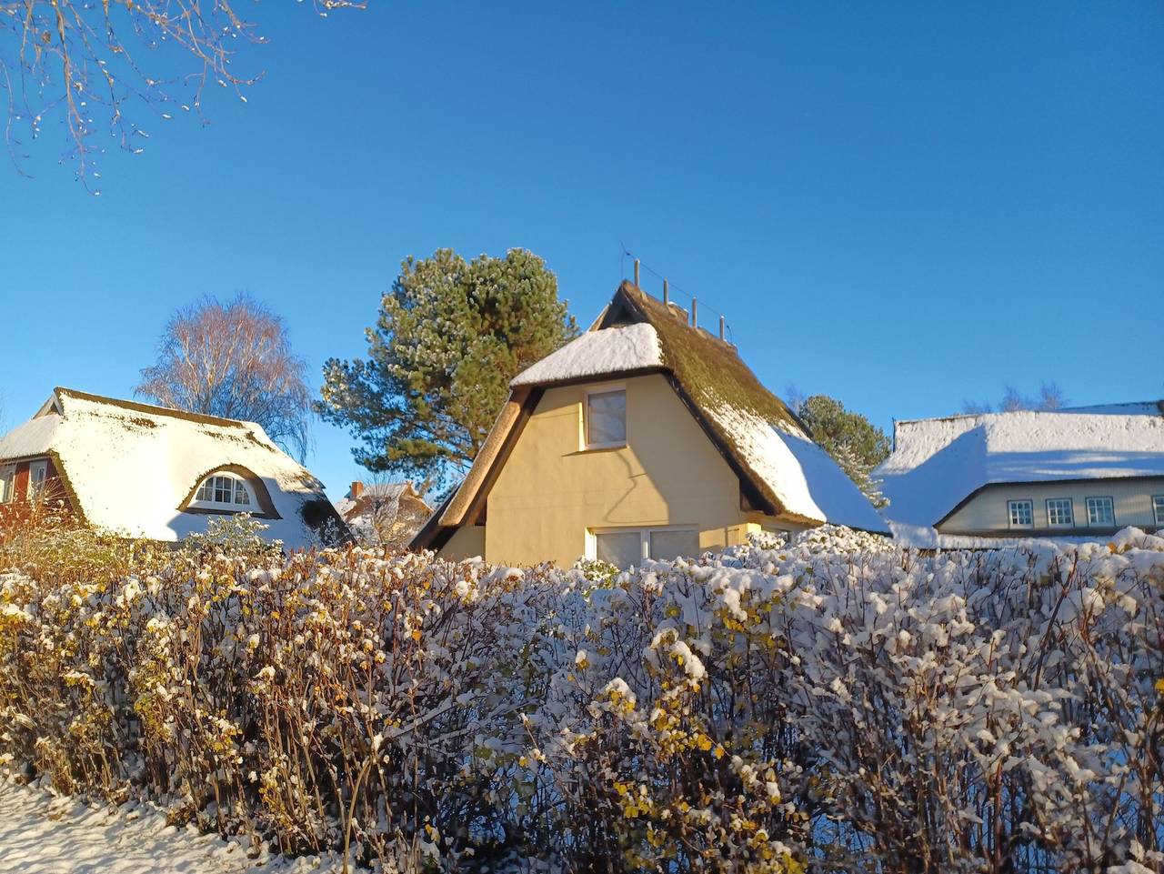 Ganze Ferienwohnung, Haus Seestern - Haus Seestern in Ahrenshoop, Fischland