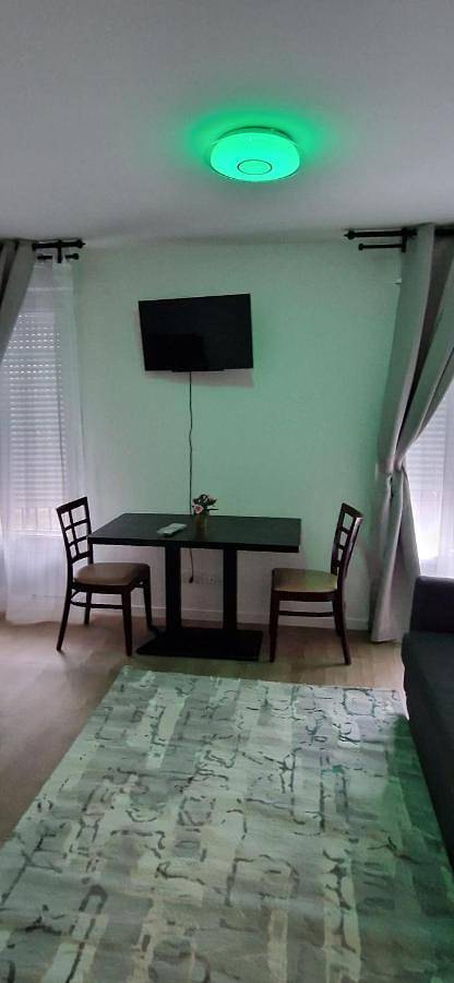 Gîte pour 15 personnes, avec terrasse et vue à Drancy - 3