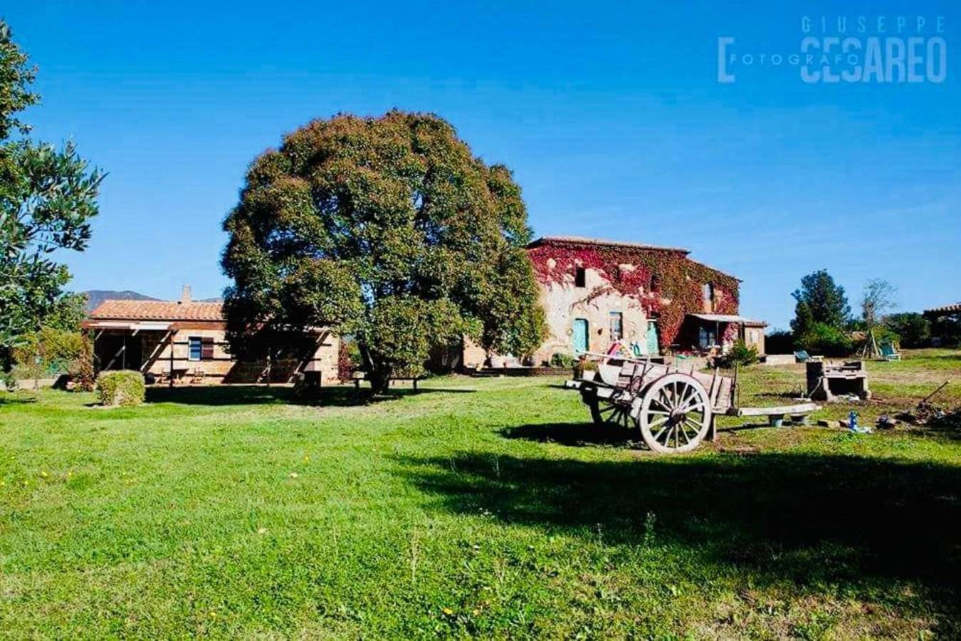 Appartamento intero, Appartamento 'Pollaio' con piscina condivisa, terrazza privata e giardino in comune in Sorano, Provincia di Grosseto